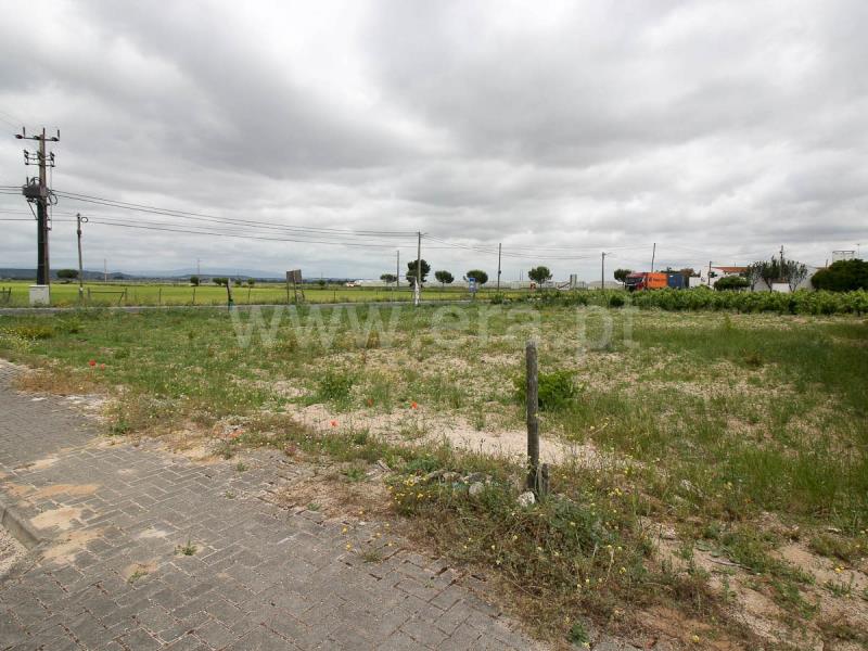 Lote  Alpiarça - 1169209 - 7