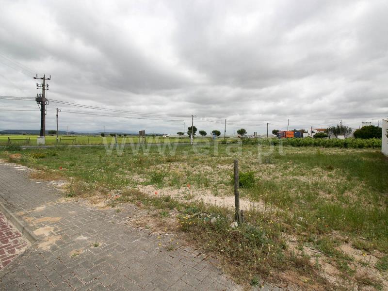 Lote  Alpiarça - 1169209 - 8