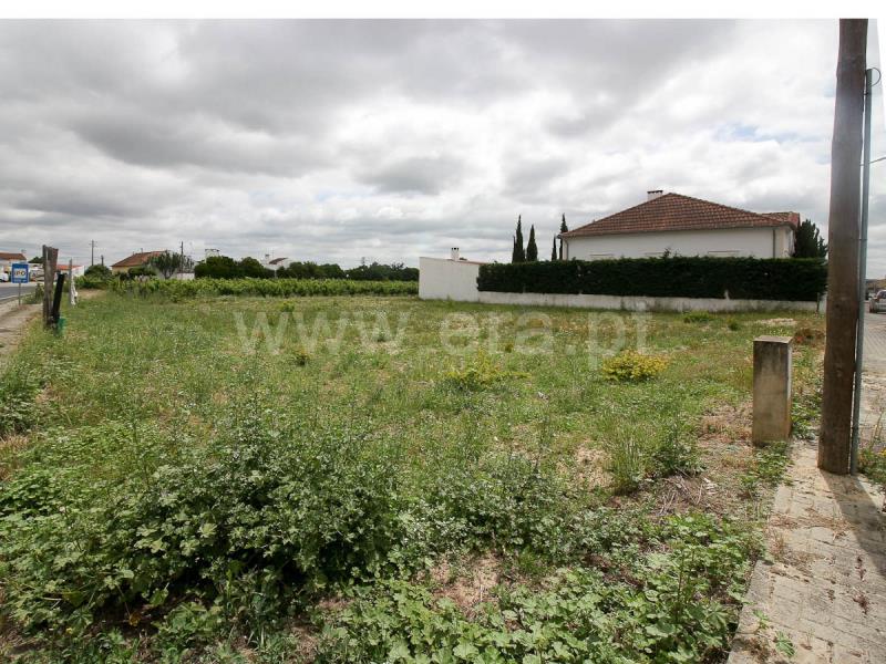 Lote  Alpiarça - 1169209 - 9
