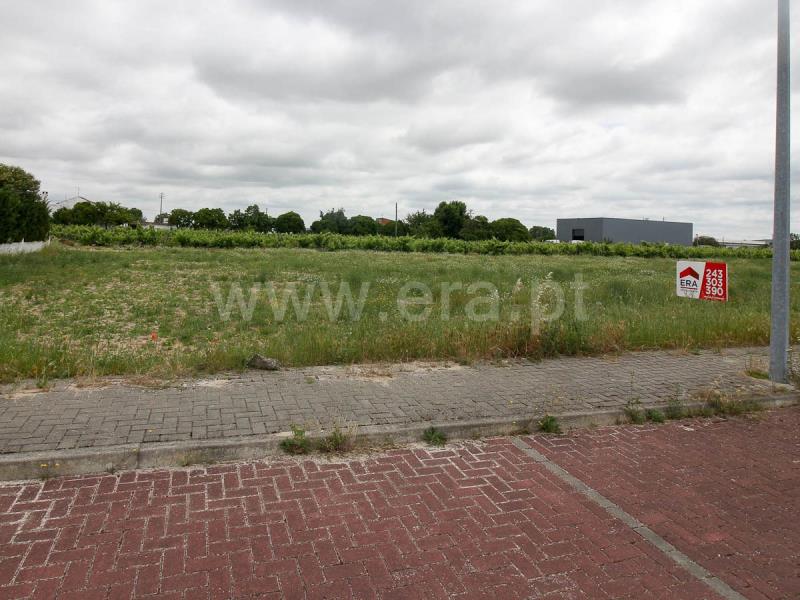 Lote  Alpiarça - 1169209 - 12
