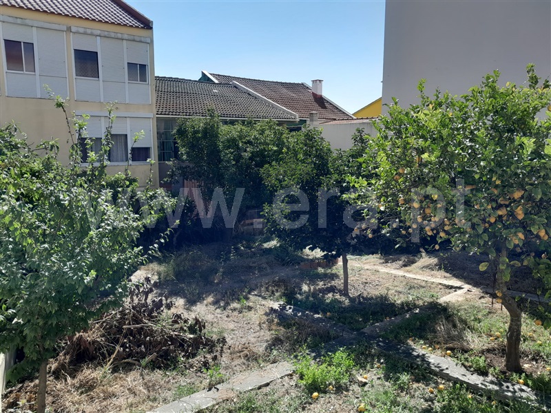 Lote  Amadora, Mina de Água - 1420316 - 1