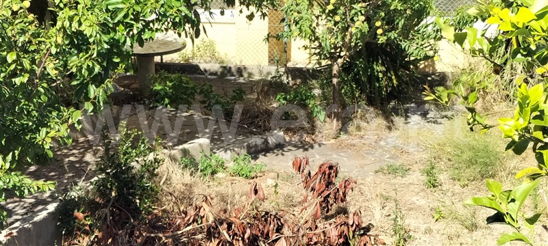 Lote / Amadora, Mina de Água
