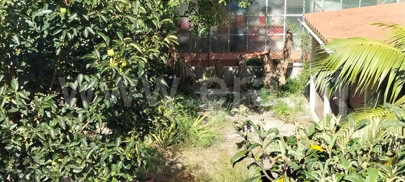 Lote  Amadora, Mina de Água - 1420316 - 3