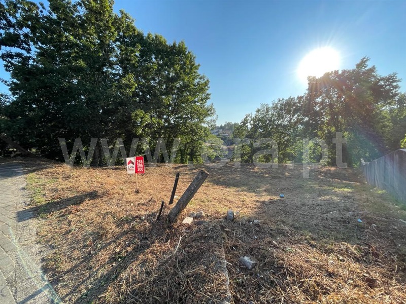Lote / Amarante, Amarante (São Gonçalo), Madalena, Cepelos e Gatão