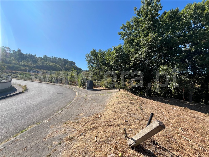 Lote  Amarante, Amarante (São Gonçalo), Madalena, Cepelos e Gatão - 1188616 - 5