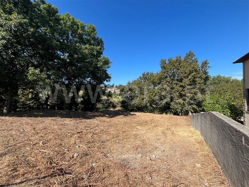 Lote / Amarante, Amarante (São Gonçalo), Madalena, Cepelos e Gatão
