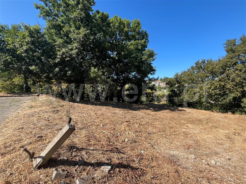 Lote  Amarante, Amarante (São Gonçalo), Madalena, Cepelos e Gatão - 1188616 - 7