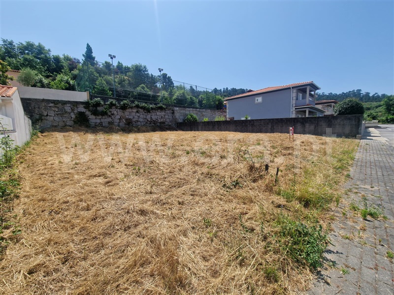 Lote  Amarante, Amarante (São Gonçalo), Madalena, Cepelos e Gatão - 1487600 - 1