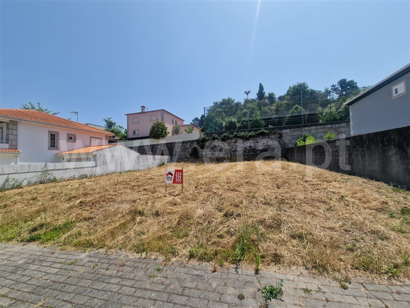 Lote / Amarante, Amarante (São Gonçalo), Madalena, Cepelos e Gatão