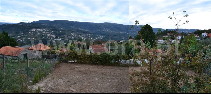 Lote / Amarante, Amarante