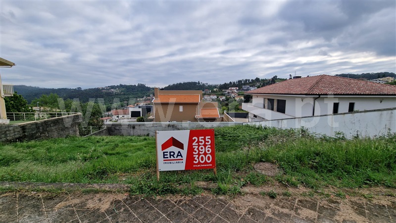Lote / Amarante, Freixo de Cima e de Baixo