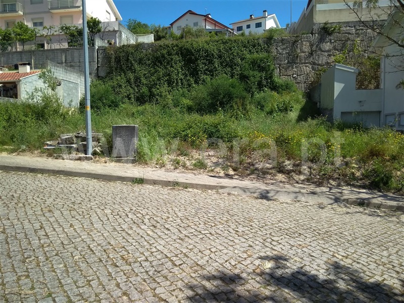 Lote / Amarante, Freixo de Cima e de Baixo