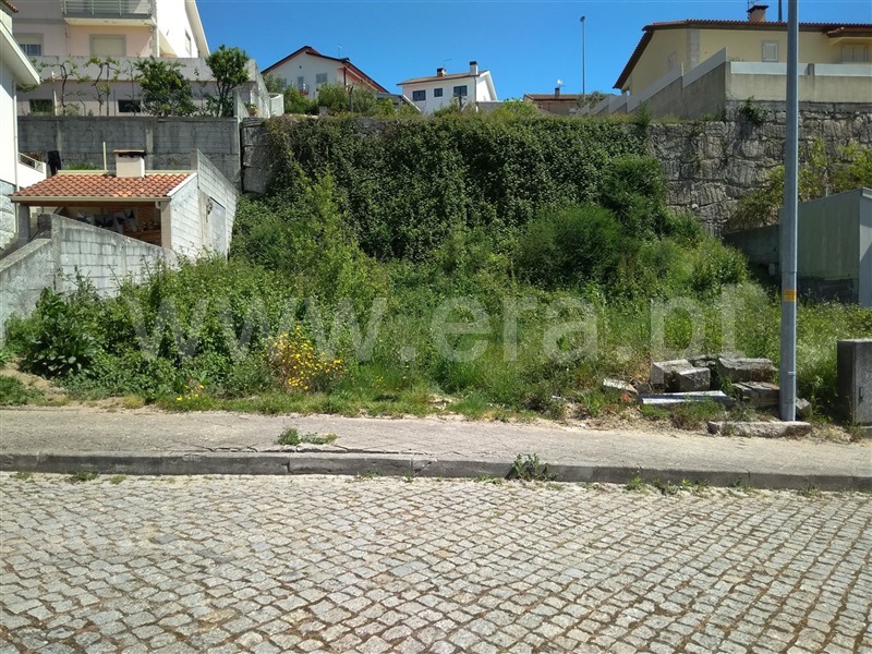Lote  Amarante, Freixo de Cima e de Baixo - 911886 - 2