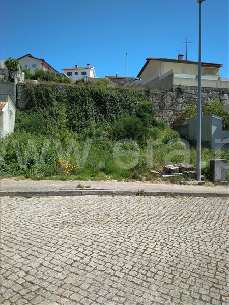 Lote  Amarante, Freixo de Cima e de Baixo - 911886 - 3