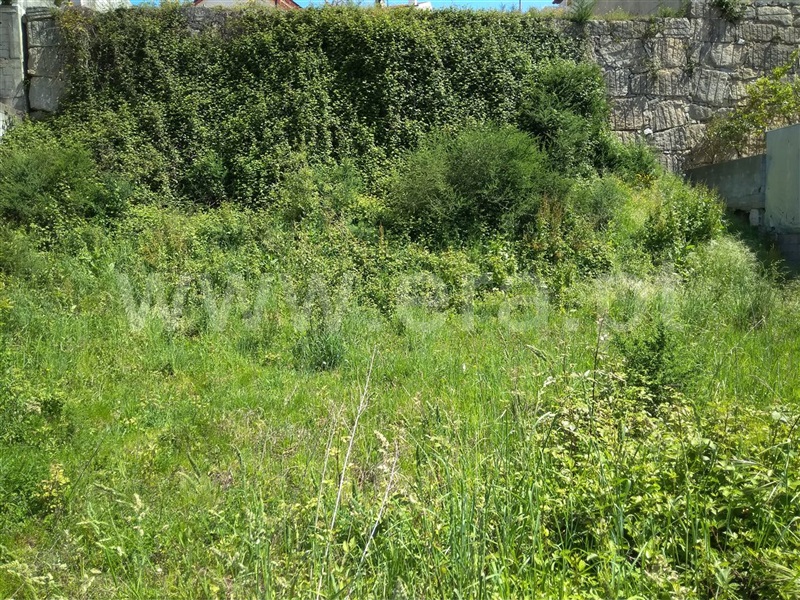 Lote  Amarante, Freixo de Cima e de Baixo - 911886 - 4