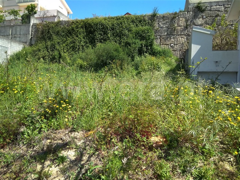 Lote  Amarante, Freixo de Cima e de Baixo - 911886 - 5