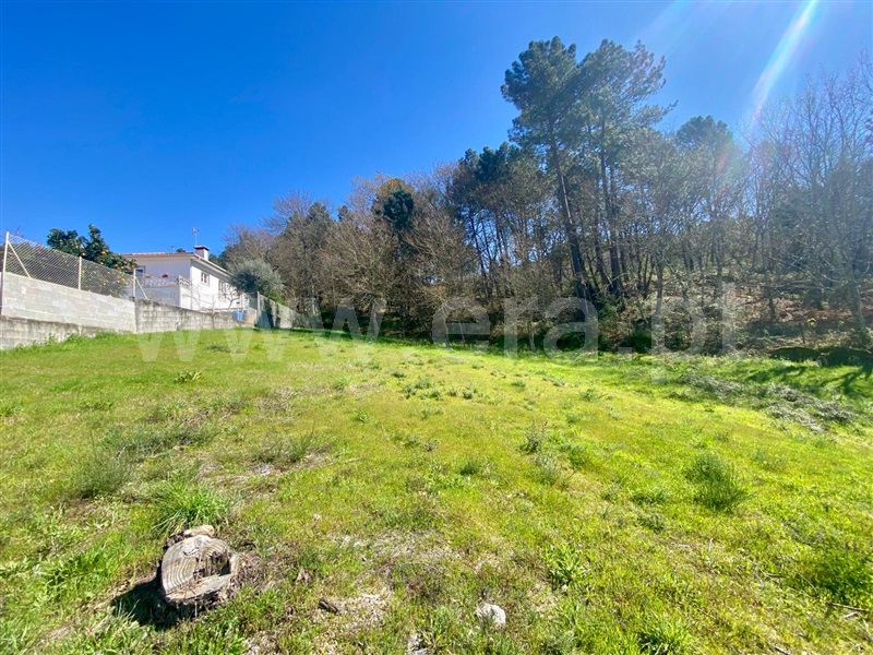 Lote  Amarante, Gondar - 1392776 - 8