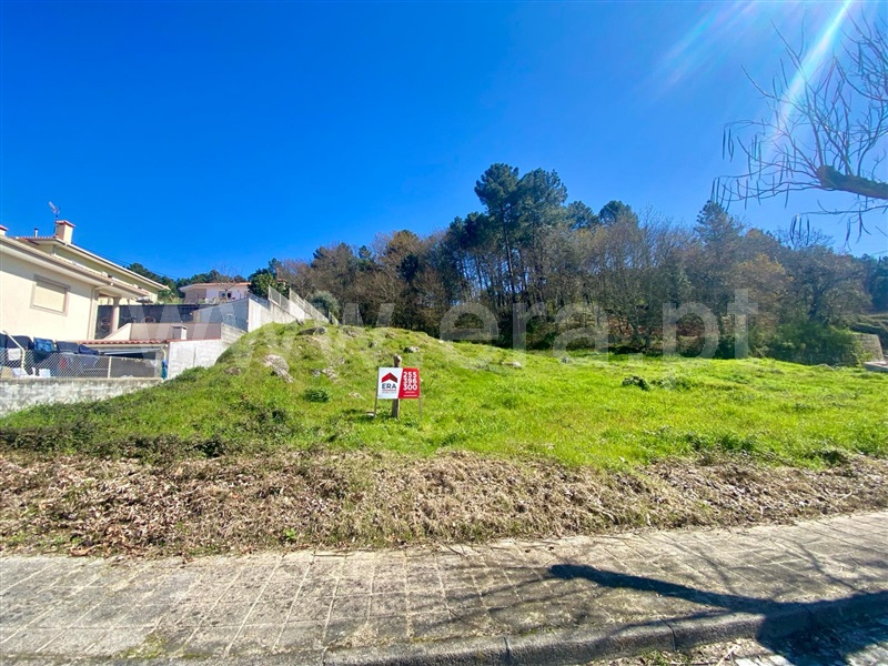 Lote  Amarante, Gondar - 1392776 - 9