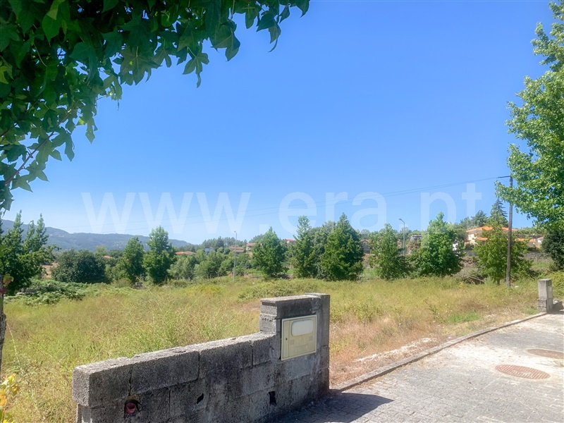 Lote  Amarante, Lomba - 1349354 - 2