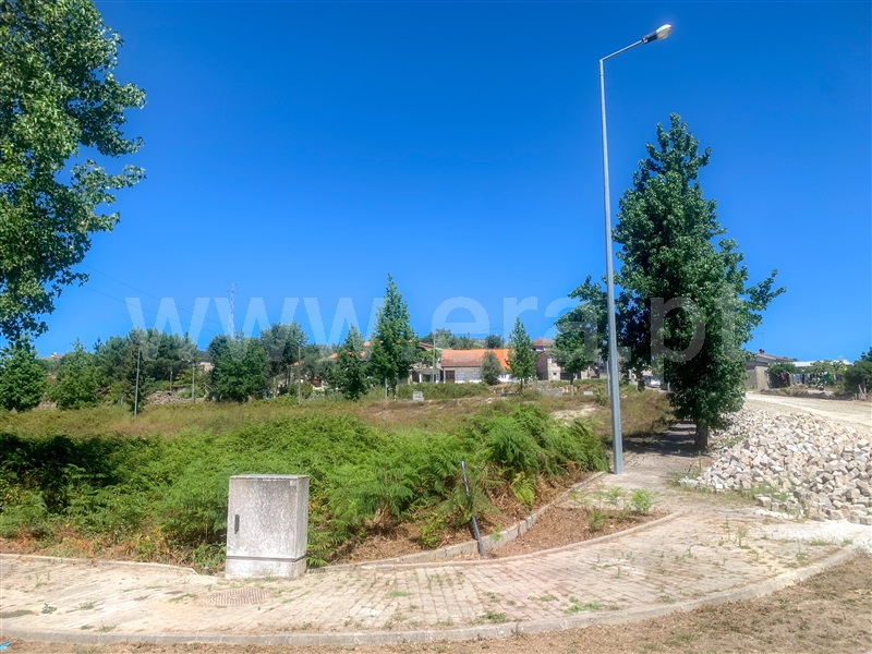 Lote  Amarante, Lomba - 1349354 - 3