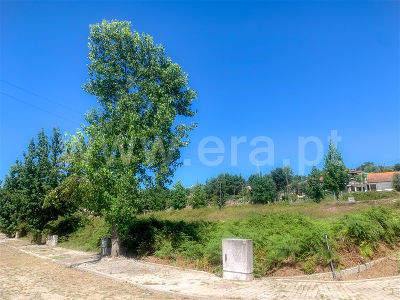 Lote  Amarante, Lomba - 1349354 - 4