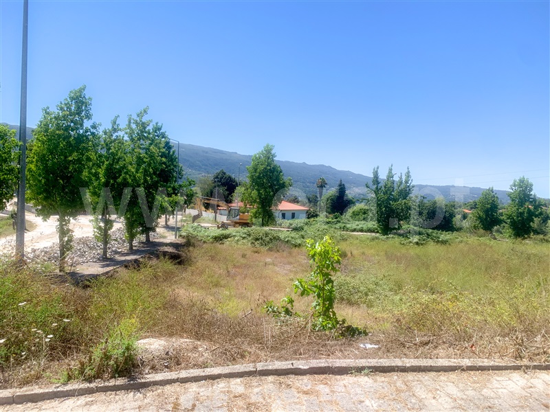 Lote  Amarante, Lomba - 1349354 - 5