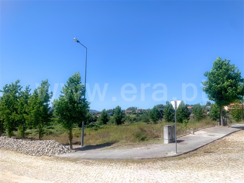Lote  Amarante, Lomba - 1349354 - 6