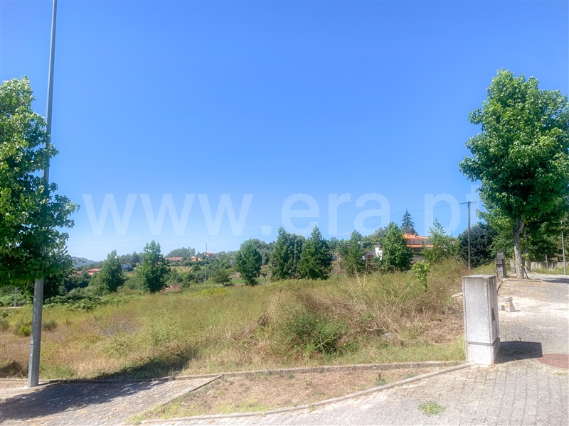 Lote  Amarante, Lomba - 1349354 - 7