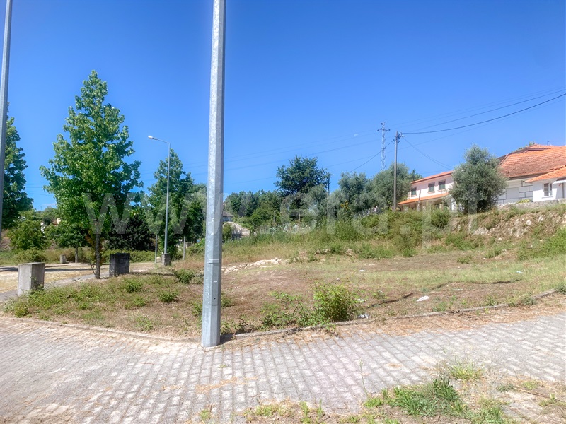 Lote  Amarante, Lomba - 1349354 - 9