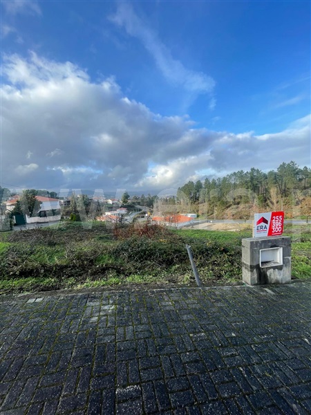 Lote  Amarante, Lomba - 1453960 - 2