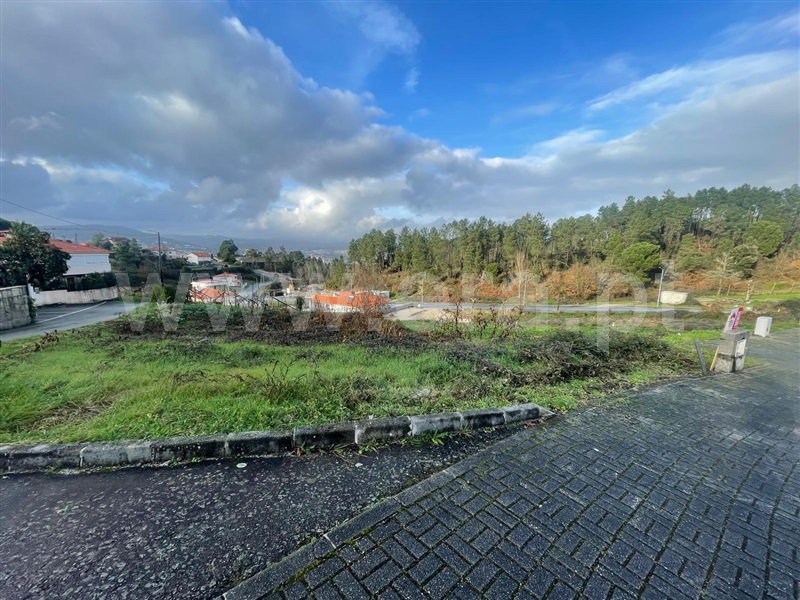 Lote  Amarante, Lomba - 1453960 - 3