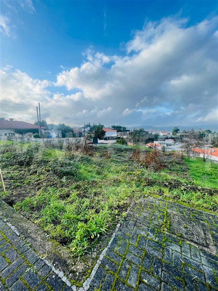 Lote  Amarante, Lomba - 1453960 - 7