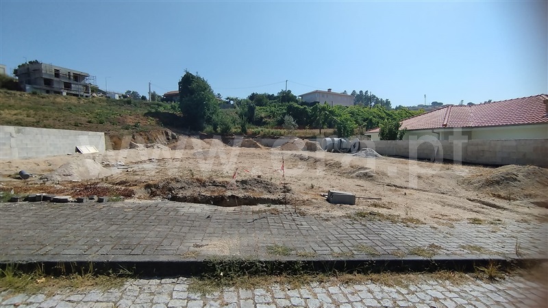 Lote / Amarante, Lomba