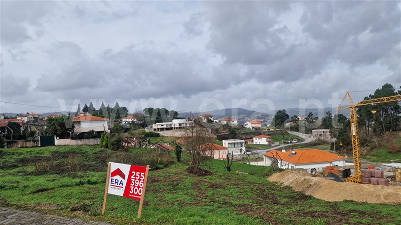 Lote / Amarante, Lomba