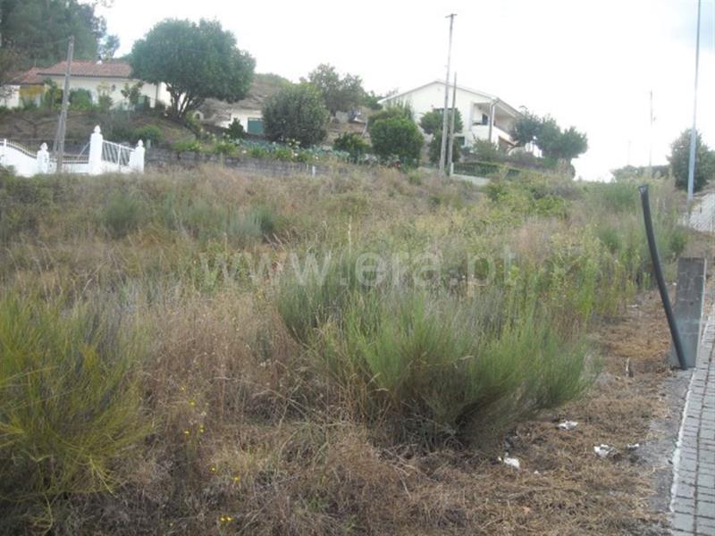 Lote / Amarante, Lomba