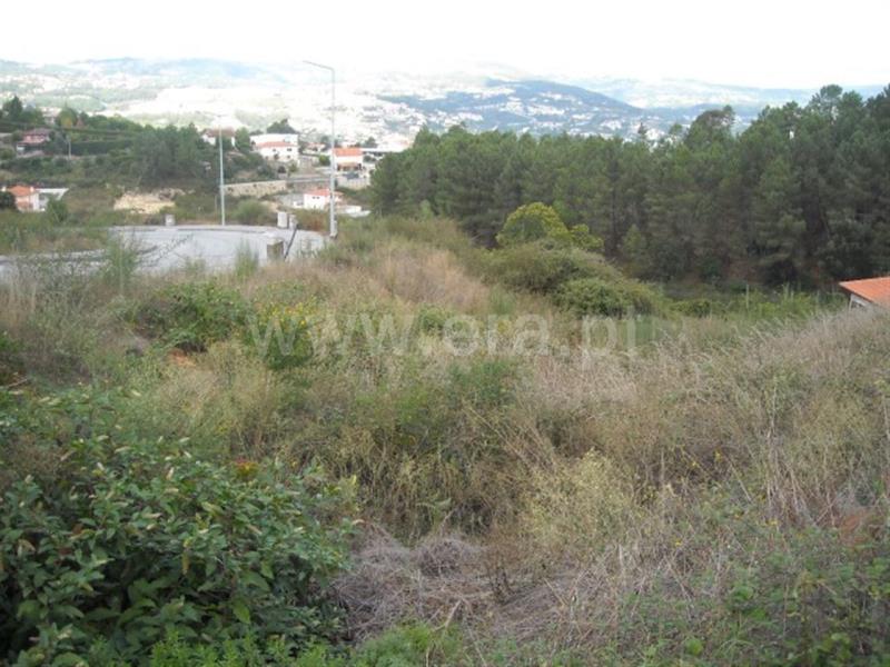 Lote  Amarante, Lomba - 597952 - 3