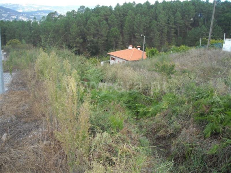 Lote  Amarante, Lomba - 597952 - 4