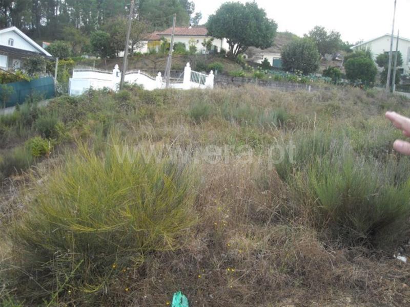 Lote  Amarante, Lomba - 597952 - 5