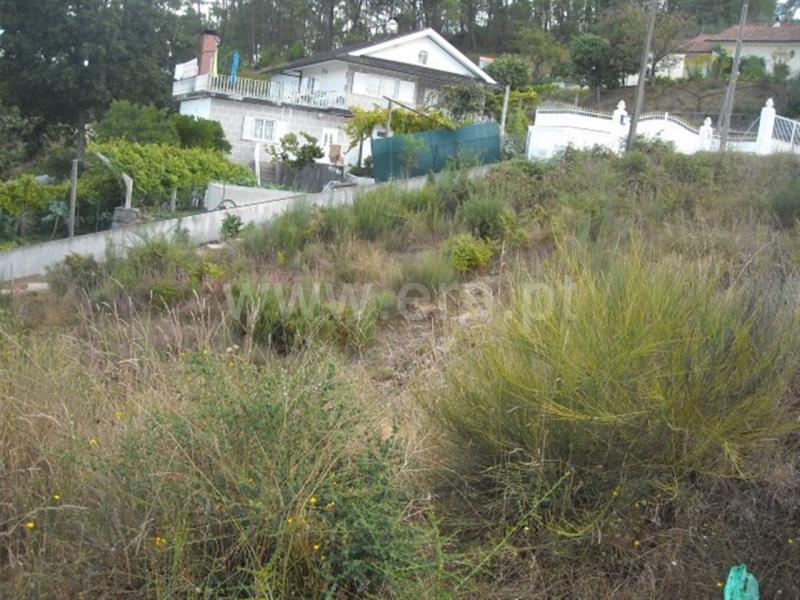 Lote  Amarante, Lomba - 597952 - 6
