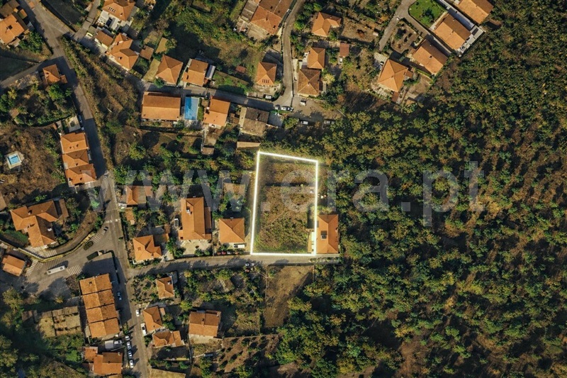 Lote / Amarante, Lufrei