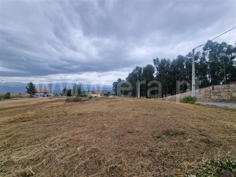 Lote  Amarante, Vila Garcia, Aboim e Chapa - 1494499 - 3