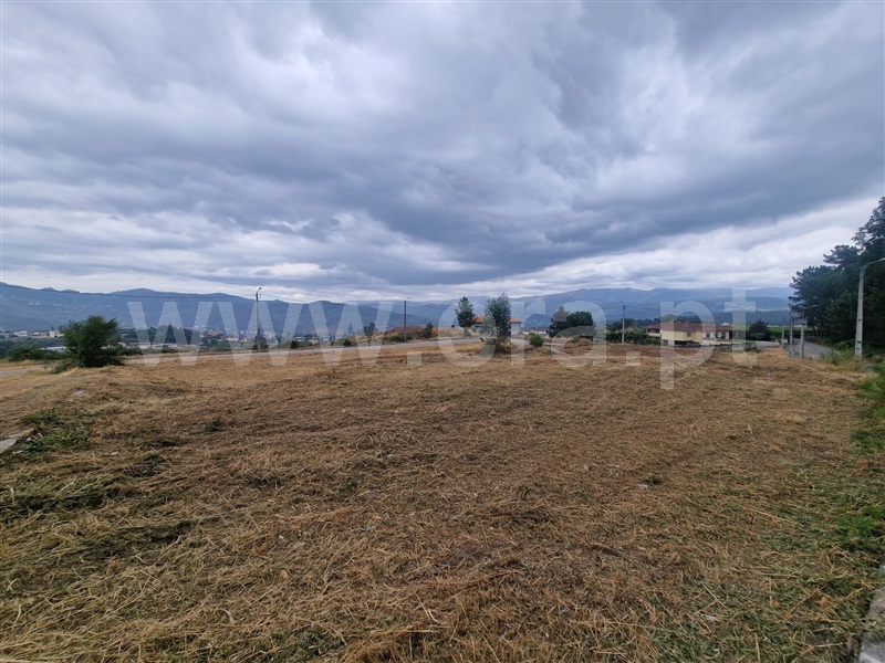 Lote / Amarante, Vila Garcia, Aboim e Chapa
