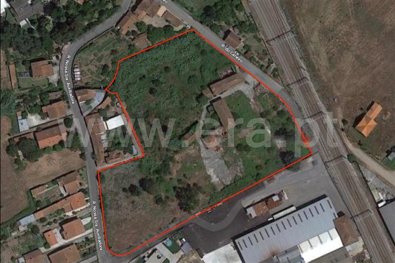 Lote / Anadia, Arcos e Mogofores