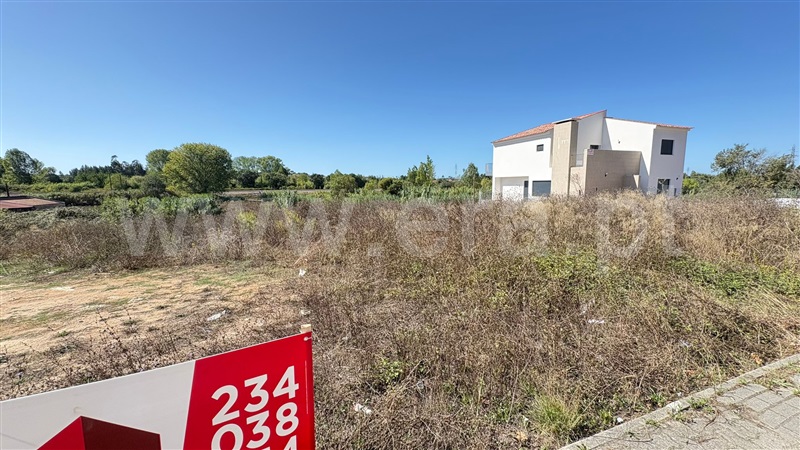 Lote  Anadia, Arcos e Mogofores - 1506976 - 2