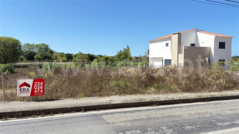 Lote  Anadia, Arcos e Mogofores - 1506976 - 3