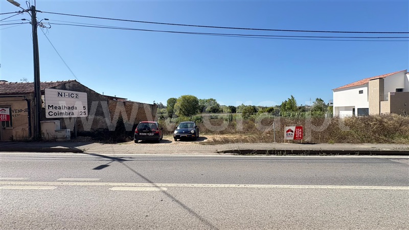 Lote  Anadia, Arcos e Mogofores - 1506992 - 2