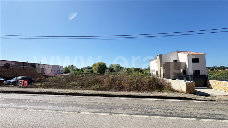 Lote  Anadia, Arcos e Mogofores - 1506992 - 4