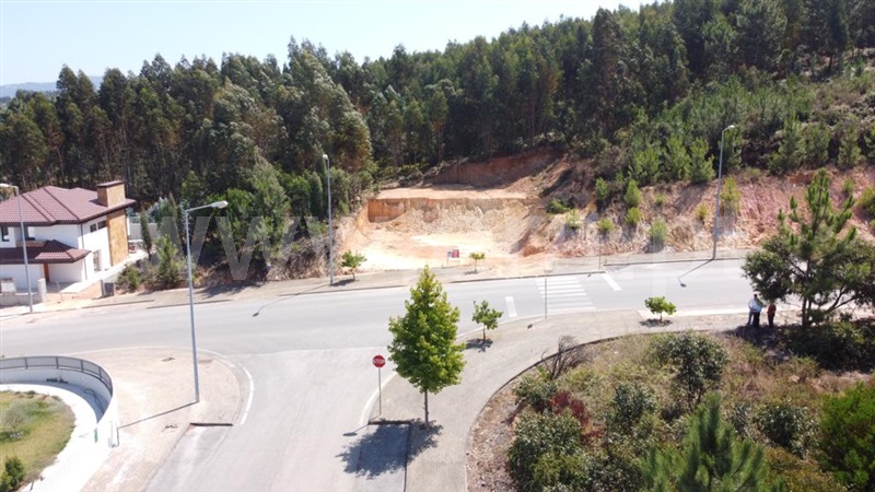 Lote / Anadia, Moita