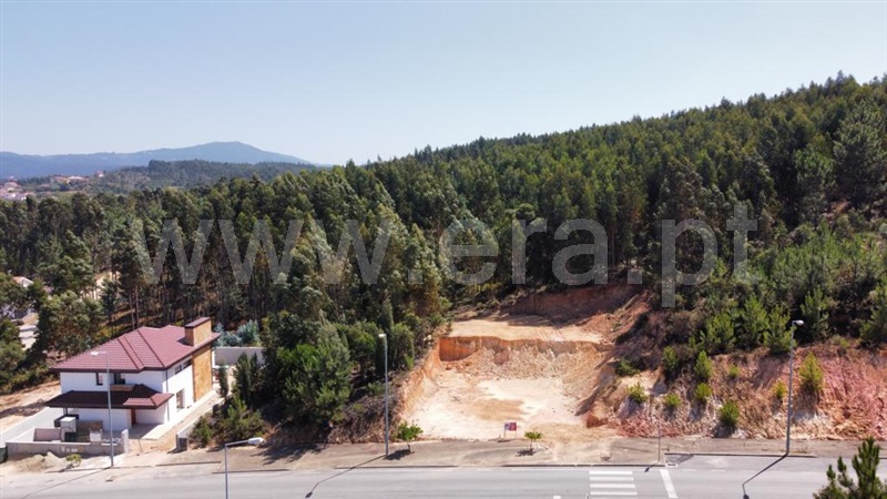 Lote / Anadia, Moita