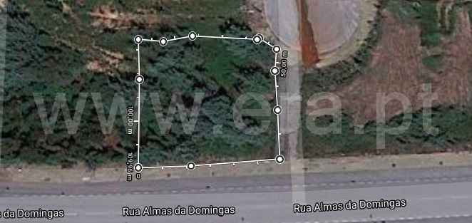 Lote / Anadia, Moita